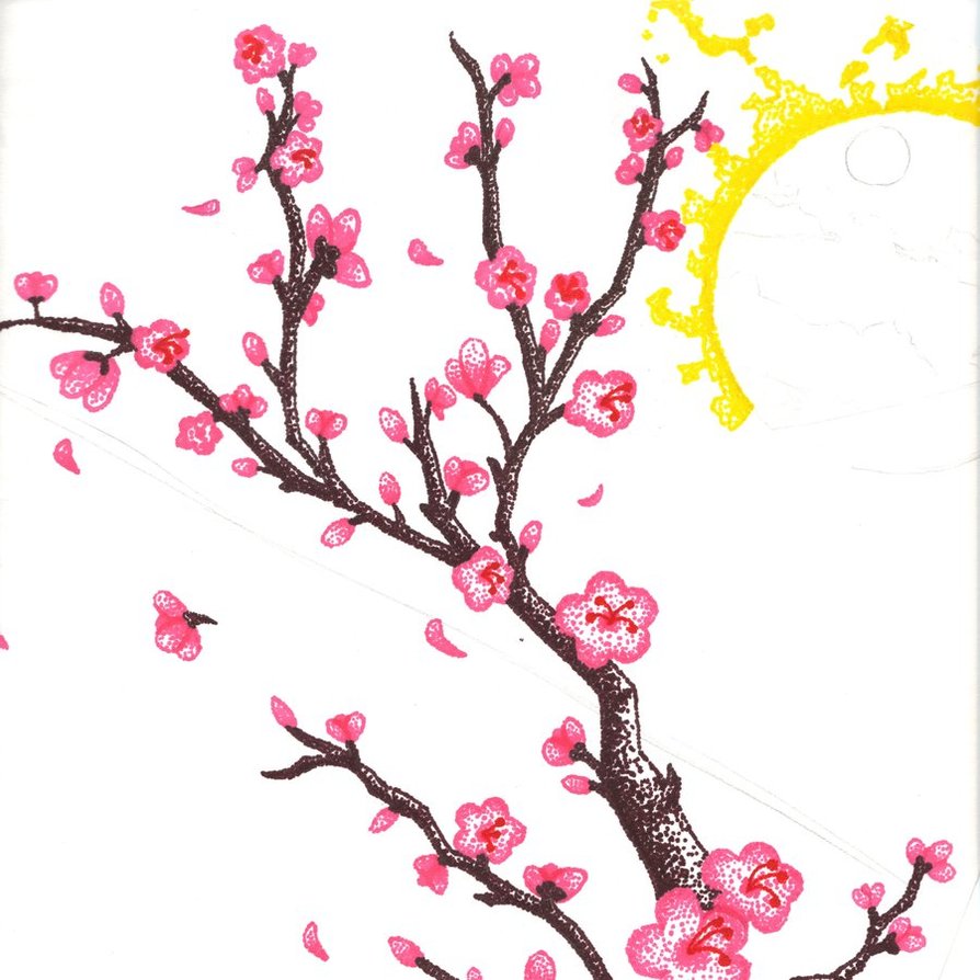 japanese cherry blossom drawings