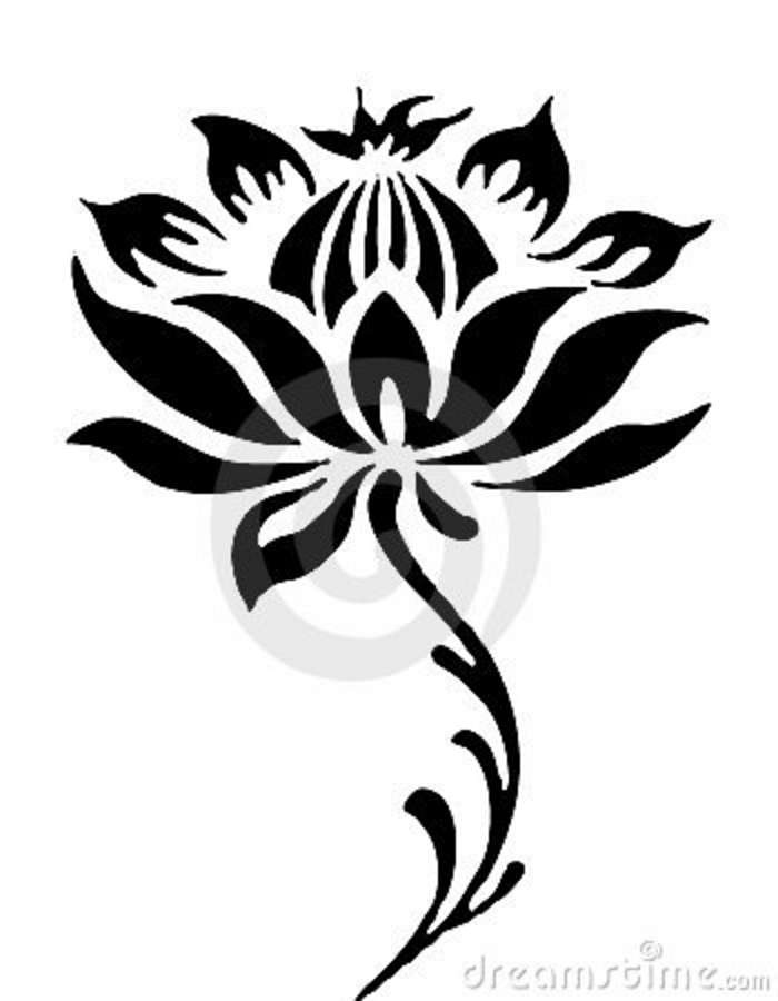 Line Drawing Of Lotus Flower : Line drawings of lotus flowers clipart best