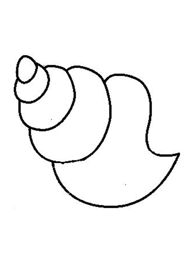 Drawing Seashells - ClipArt Best