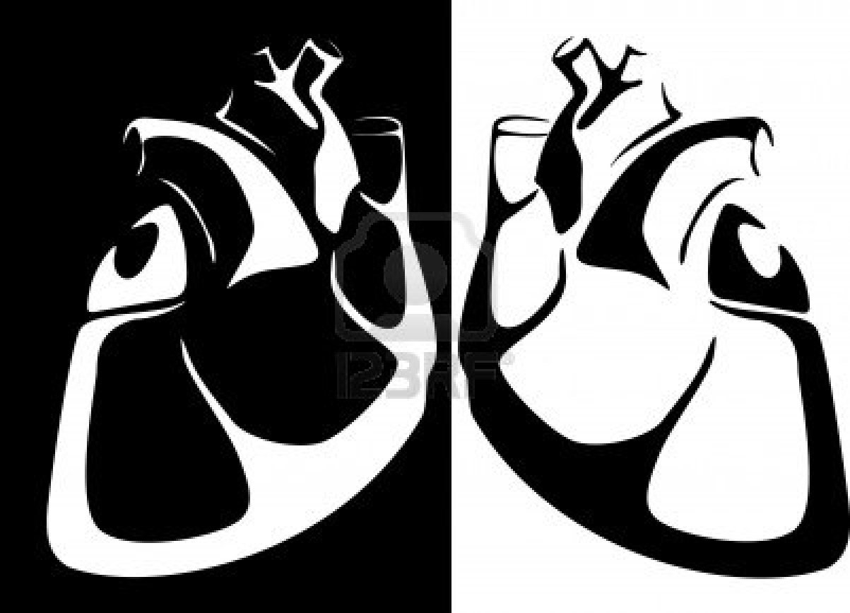 human heart clipart black and white - photo #1