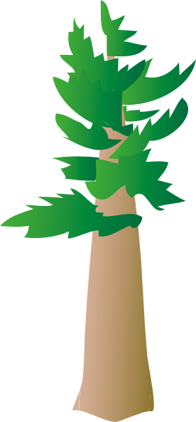 Vector Pine Tree - ClipArt Best