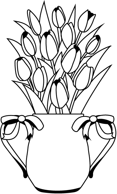 flower arrangement-Material of flower-illpop com(