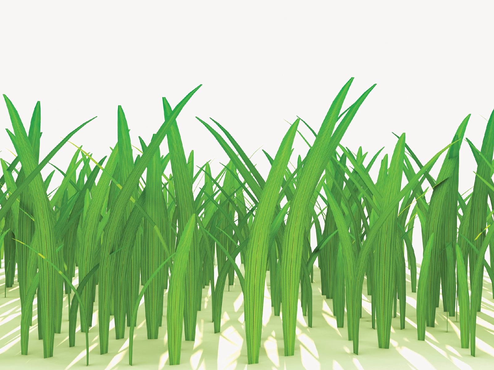 1,180 views 3D grass Powerpoint PPT Backgrounds - 3D, Green, Nature, White ...