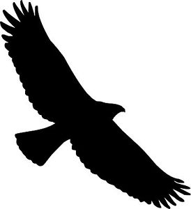 Eagle silhouette clipart