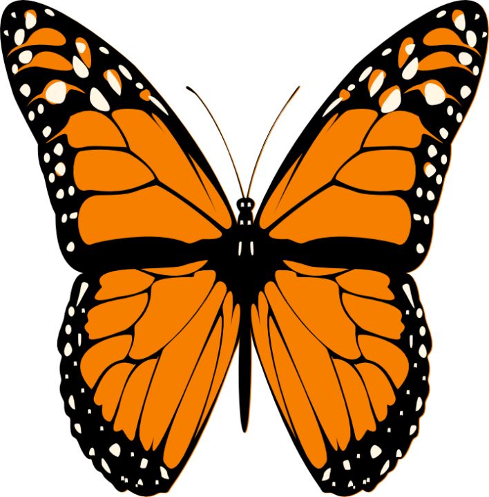 Butterfly clip art clip art butterfly clipart - Cliparting.com