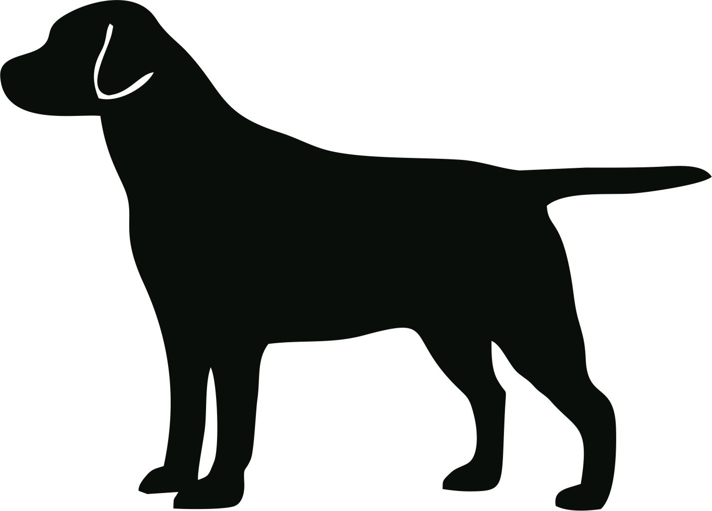 Black Lab Outline Vector image of an labrador