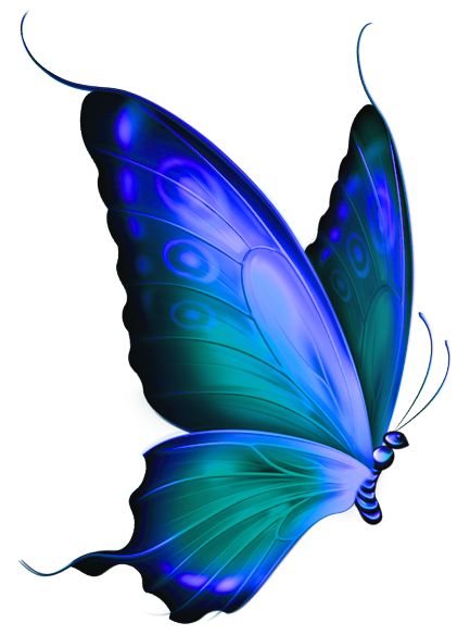 762 views Blue Butterfly Tattoo | Butterfly ...