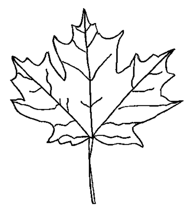 Fall Leaf Coloring Pages - School Projects Car Trip Activity