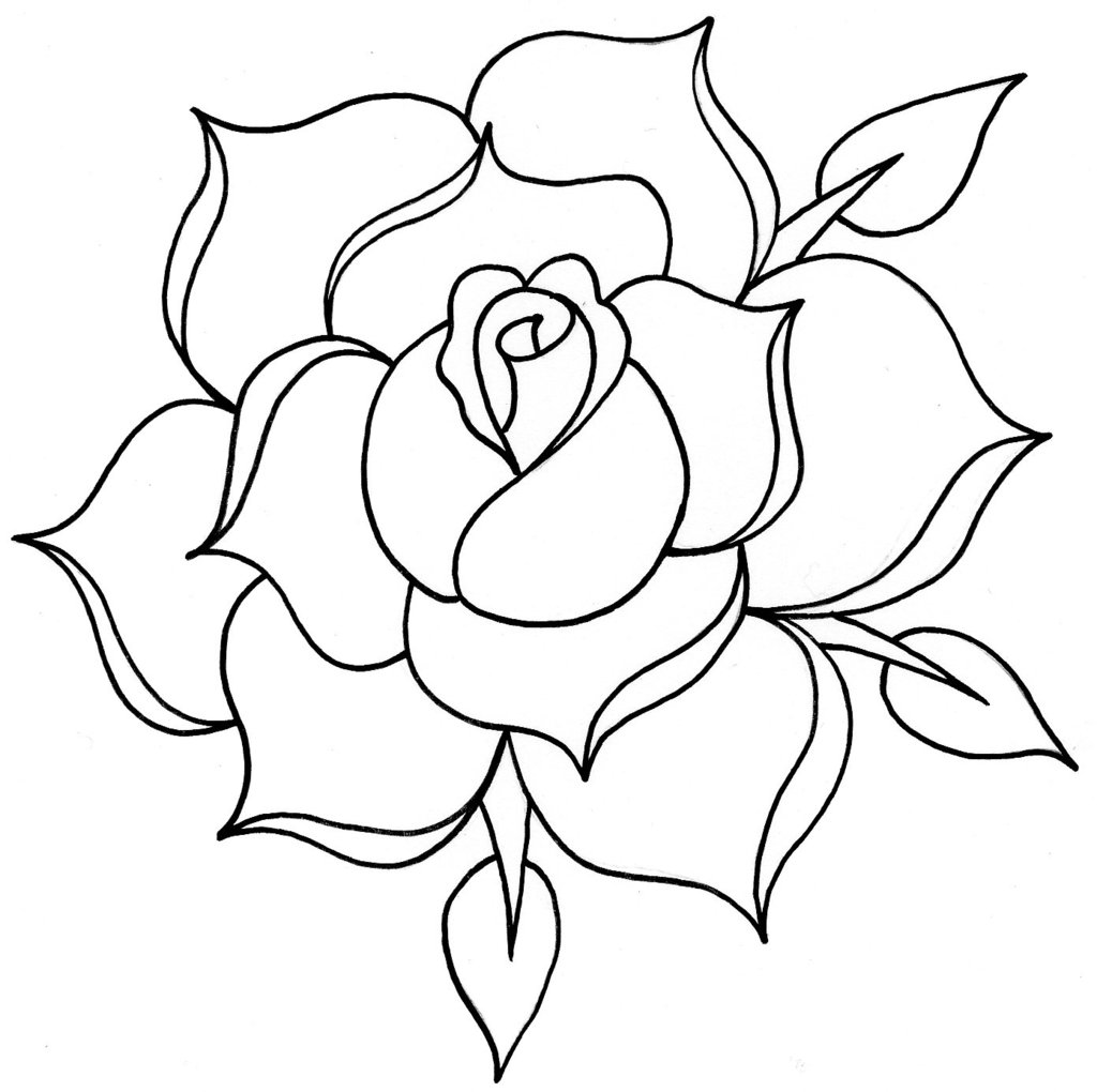 Images For > Traditional Rose Line Drawing