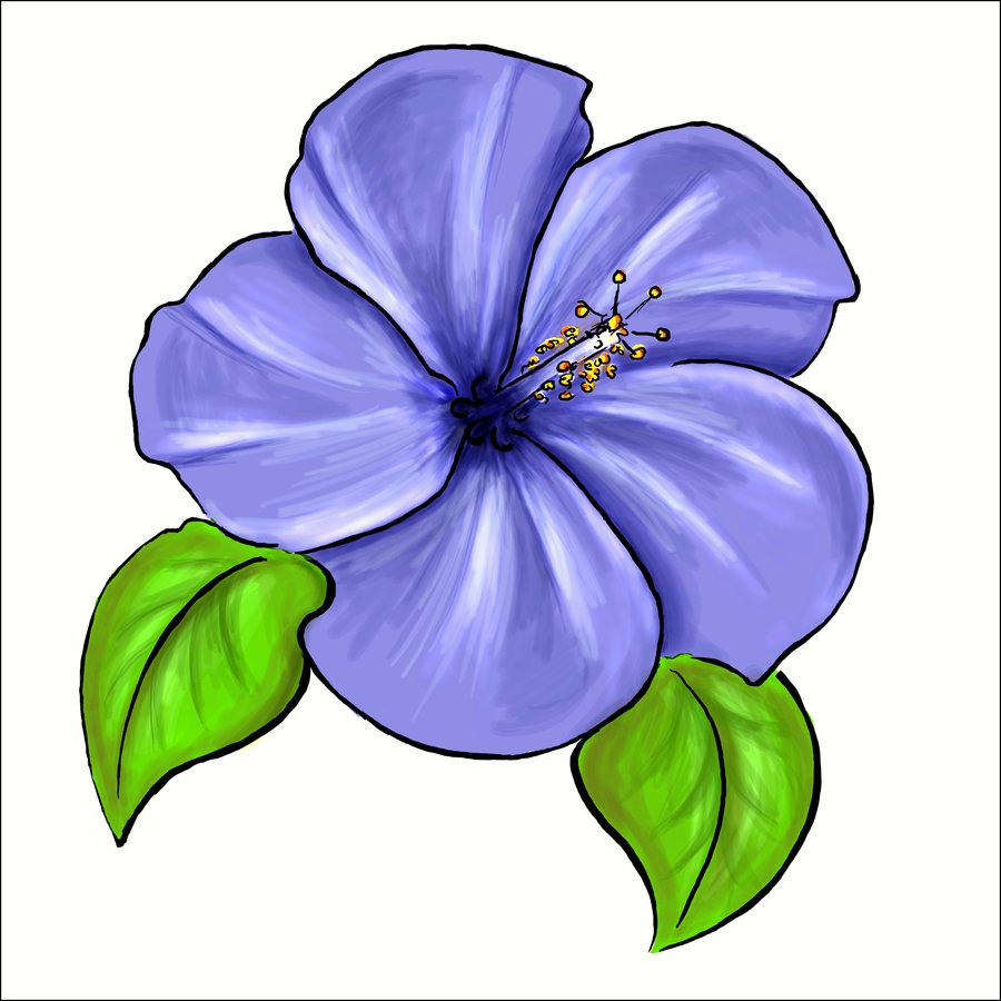 African Violet Flower Drawing