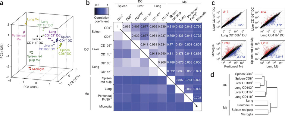 Analysis of macrophage diversity. : Gene-expression profiles and ...