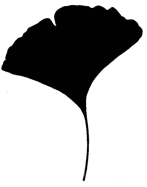 clip art ginkgo leaf - photo #11