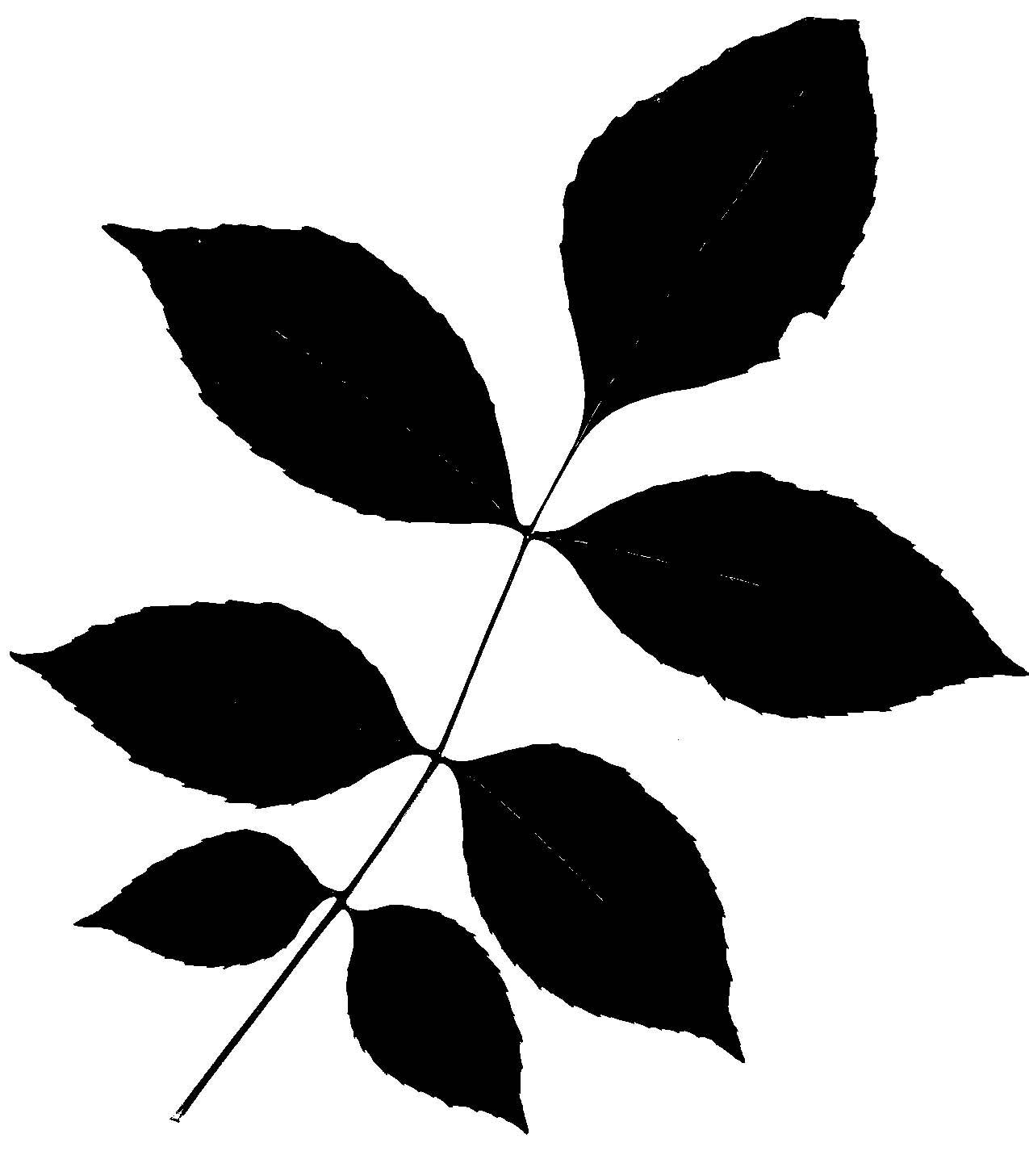 leaf silhouette clip art-#17