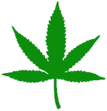 Weed Leaf Logo