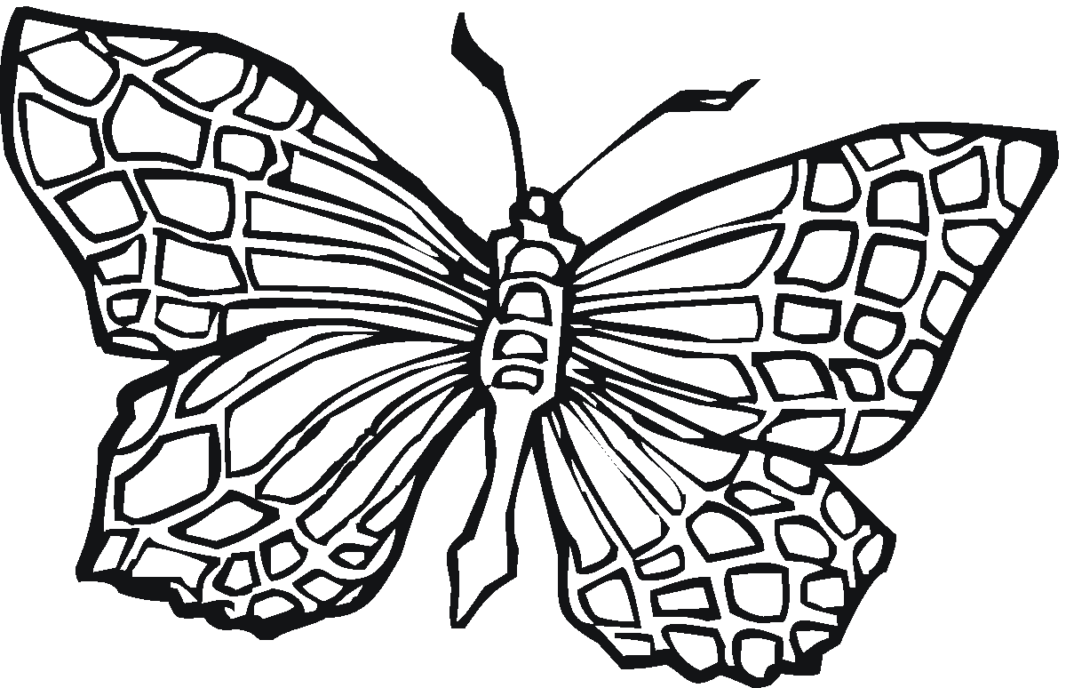 Cool Butterflies Coloring Pages With Butterfly Coloring Pages on ...