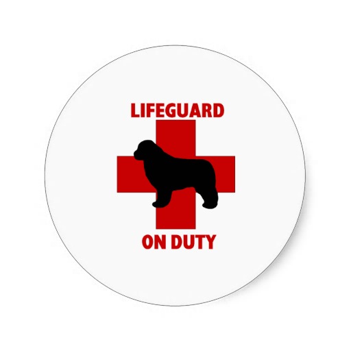 Lifeguard Symbol - ClipArt Best