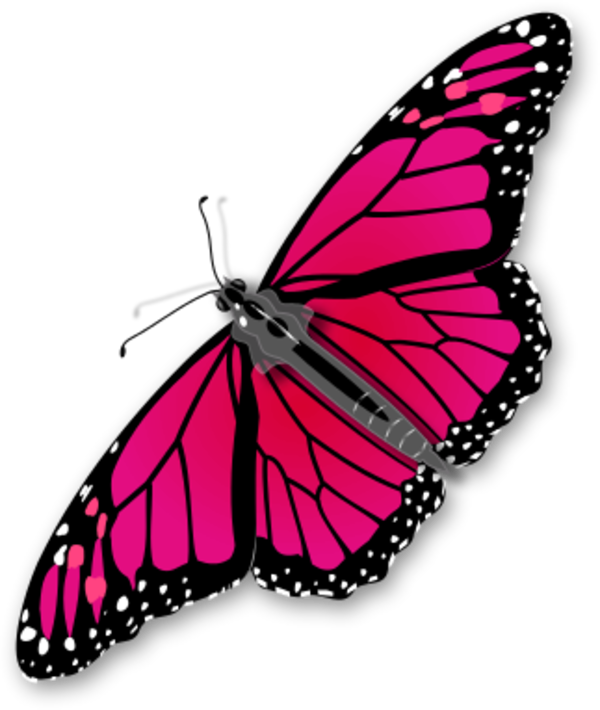 Monarch Clipart