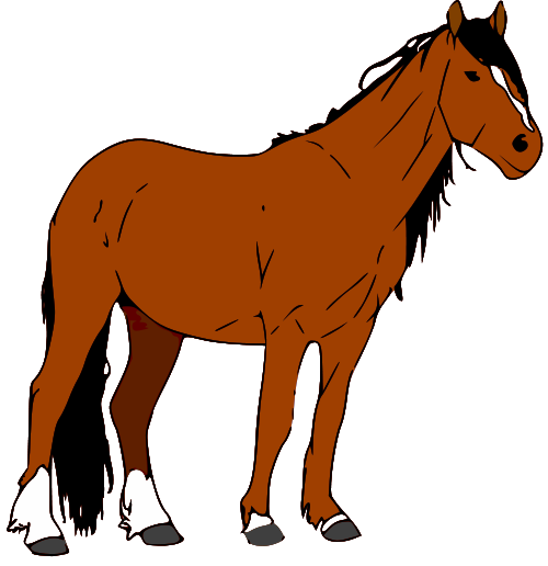 Quarter horse head clip art - Animals clip art - DownloadClipart.org