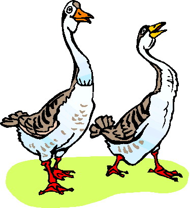 Images Of Geese | Free Download Clip Art | Free Clip Art | on ...