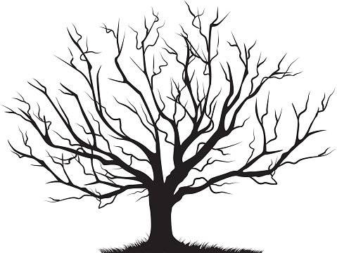 Bare Tree Clip Art, Vector Images & Illustrations