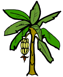 Clipart banana tree