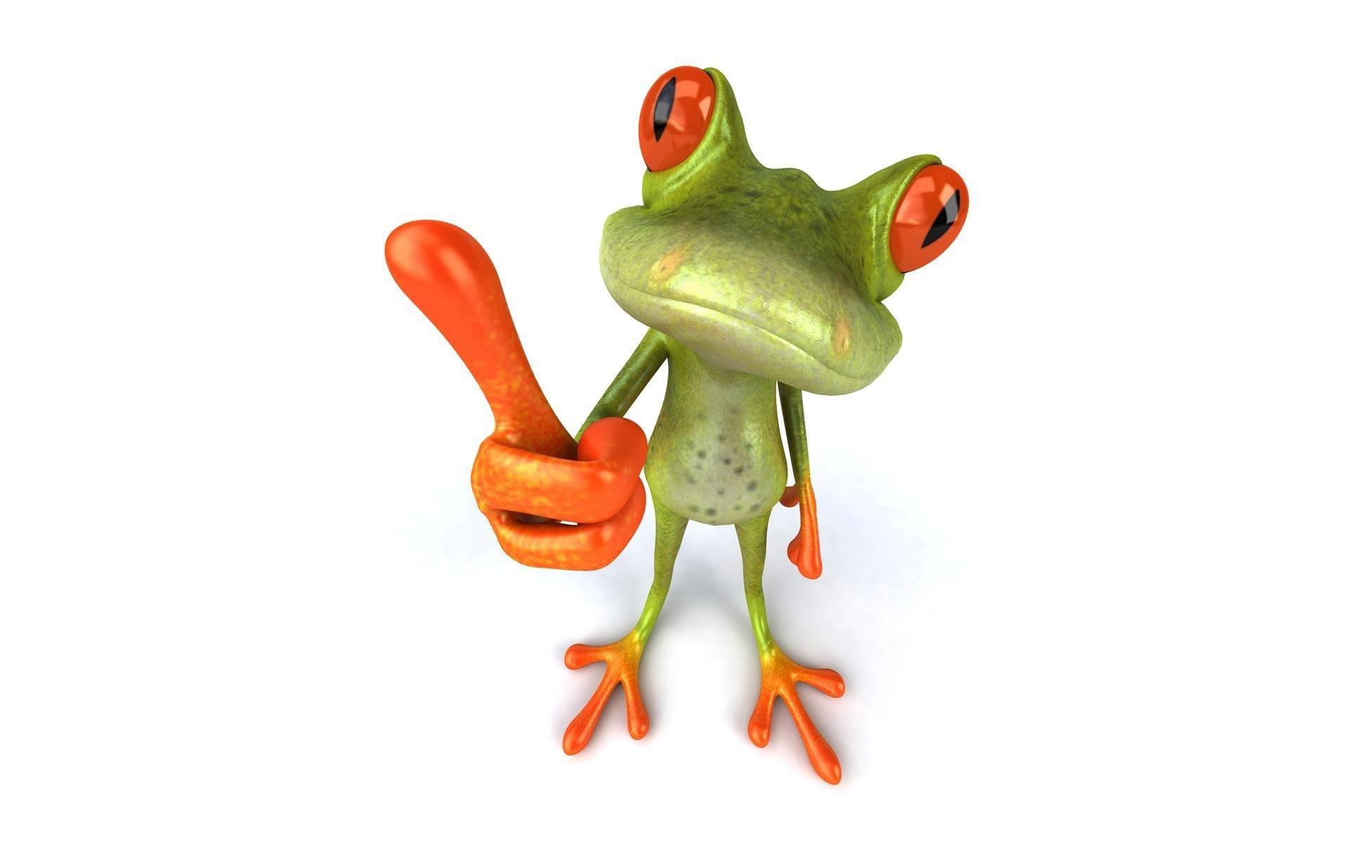 Funny Frog HD desktop wallpaper : Widescreen : High Definition ...