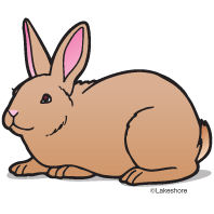 Clipart rabbit