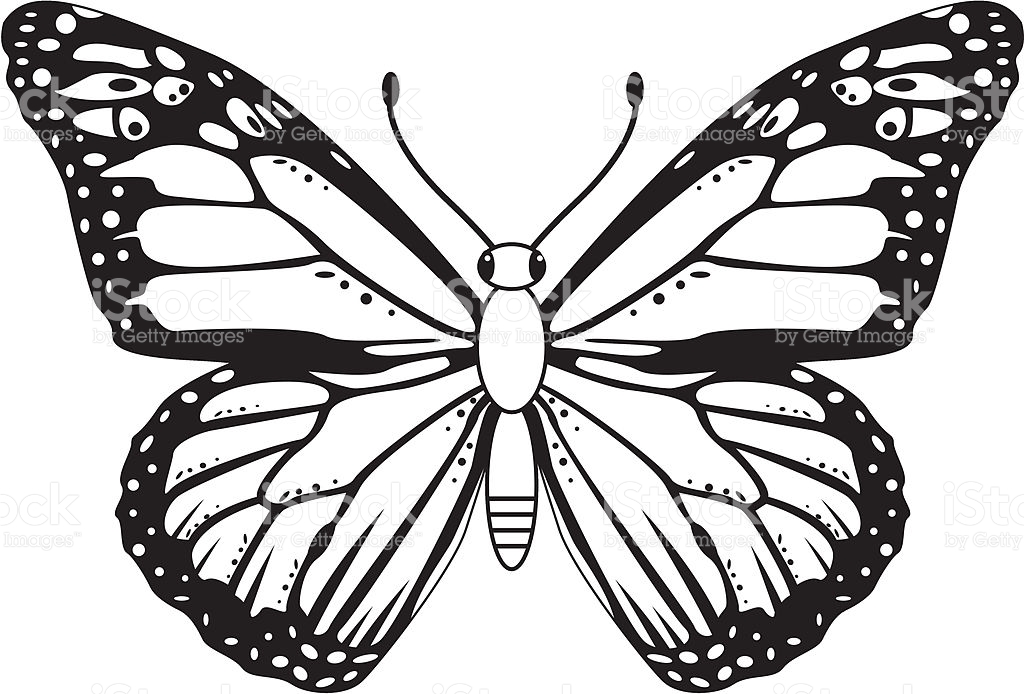 Butterfly Clip Art Black And White - ClipArt Best