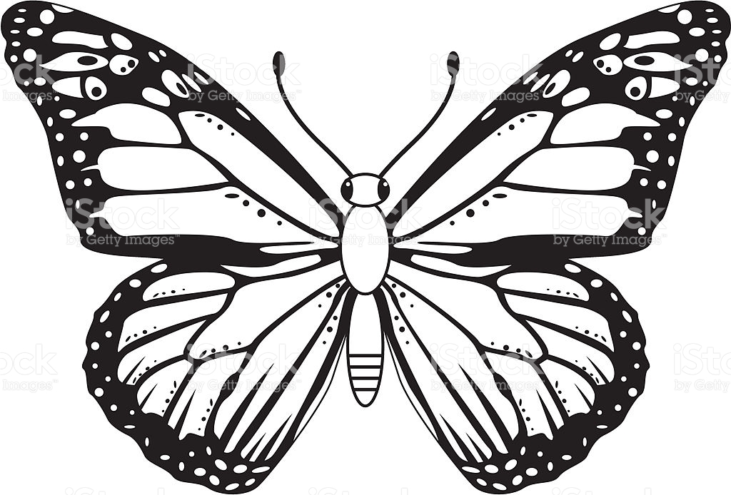 Monarch butterfly clipart black and white