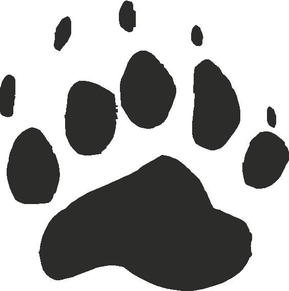 Best Photos of Black Bear Paw Tracks - Bear Paw Print Tracks ...