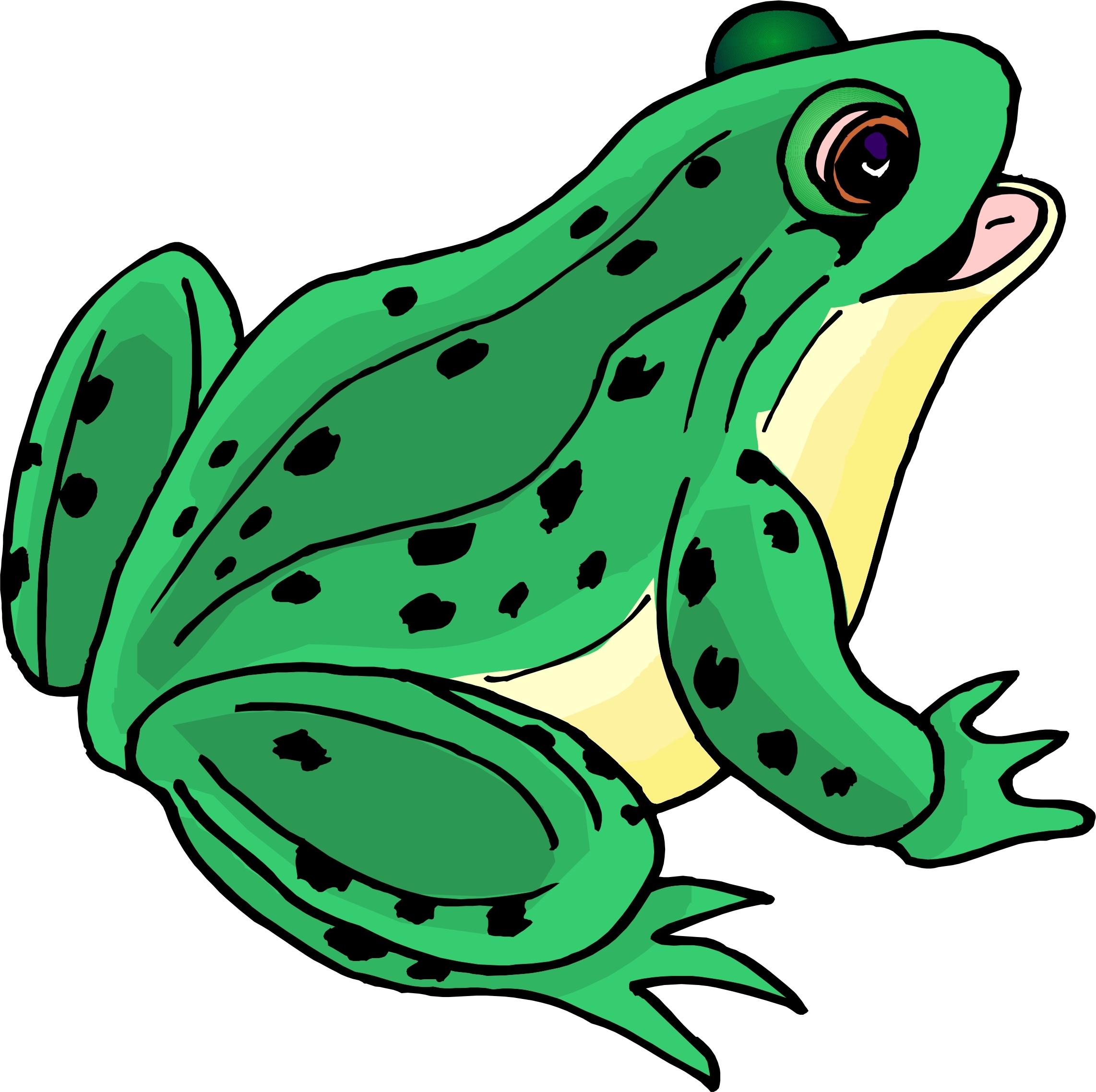 Images Of Cartoon Frog Clipart Best