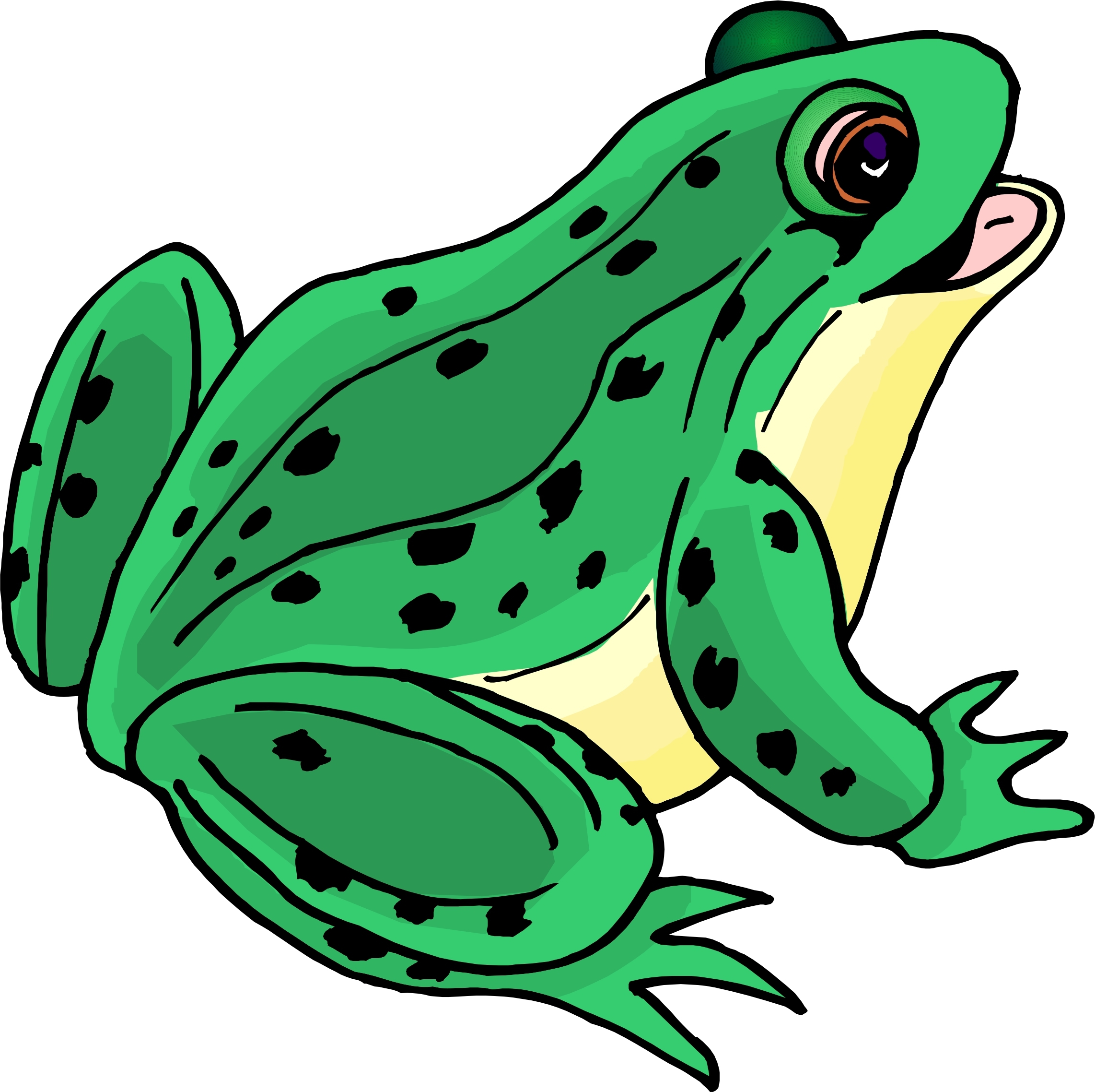 Cartoon Frog Clipart