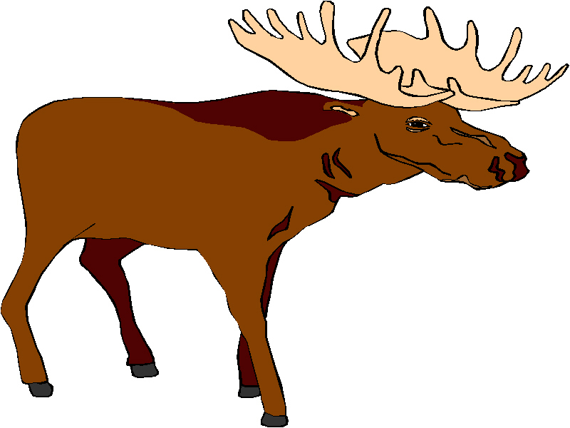 Moose Clip Art - Tumundografico