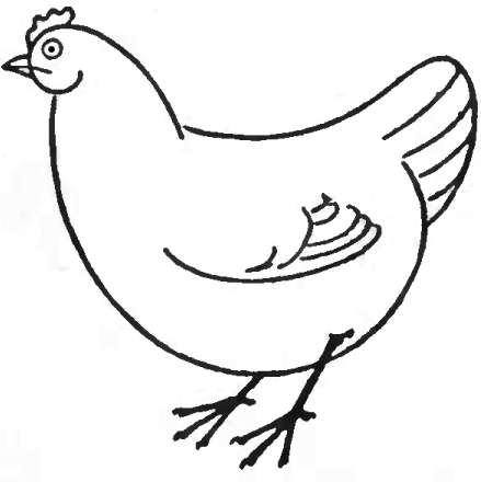 How to Draw Chickens & Hens with Easy Step by Step Drawing ...