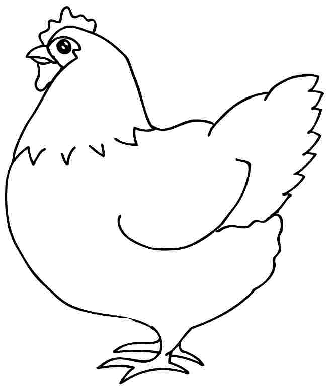 Drawing Of Hen - ClipArt Best