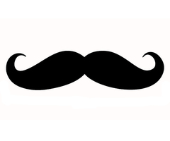 Collections of: DIY Photo Booth Mustache | Best Lancaster ...