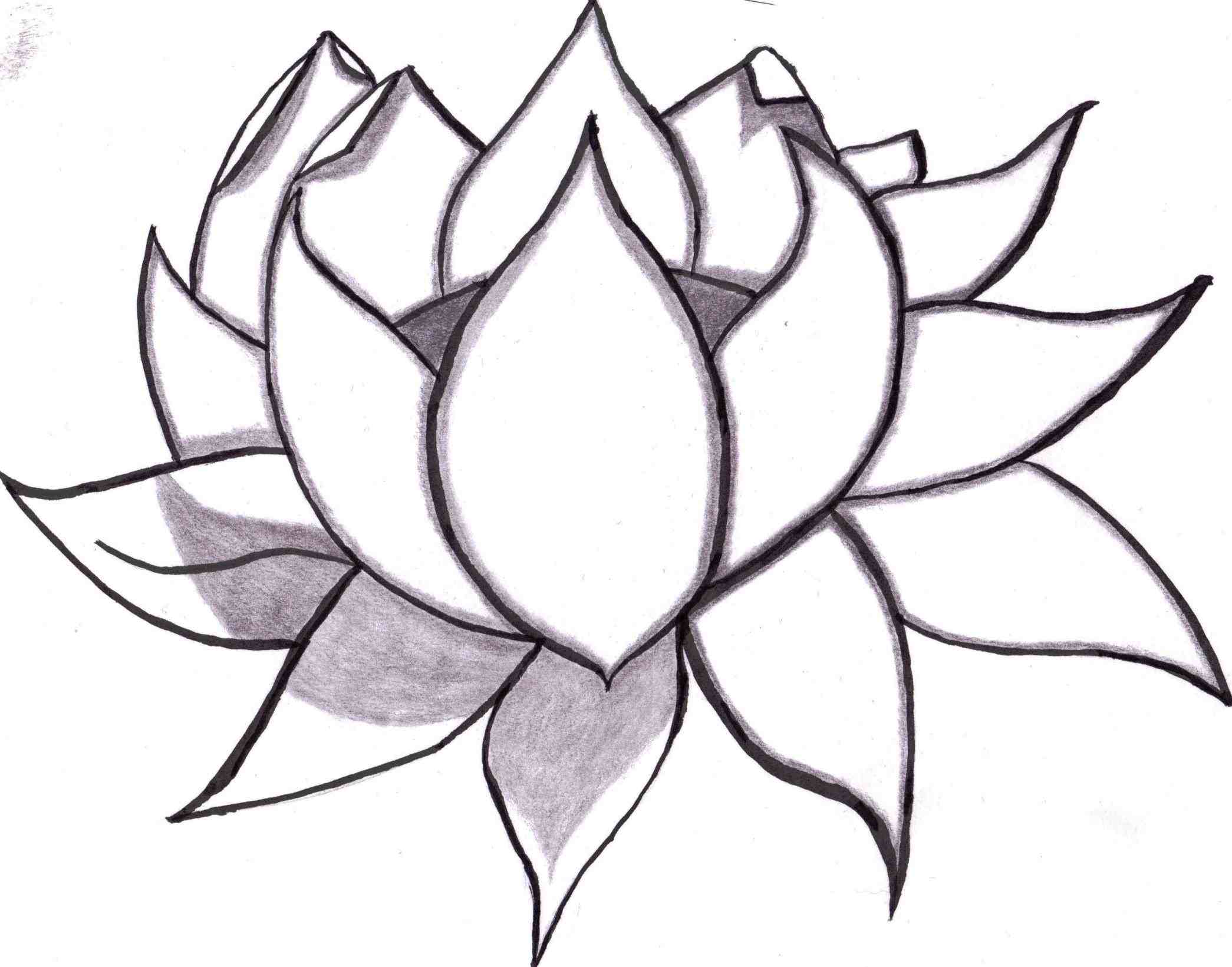 Easy Drawing Flowers Copay Online Clipart Best Clipart Best