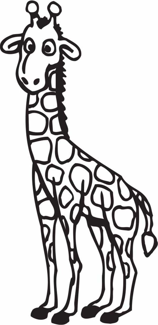 free giraffe clipart black and white - photo #35