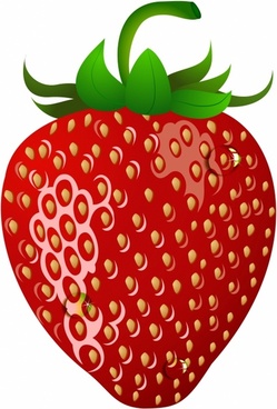 Strawberry vector free free vector download (280 Free vector) for ...