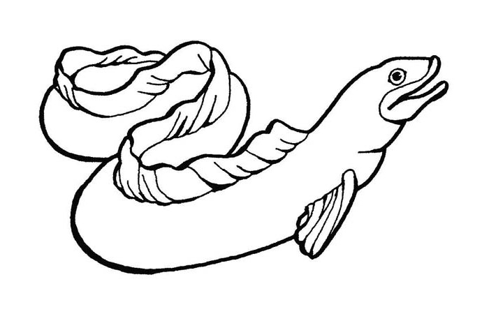Sea Animal Outlines - ClipArt Best Sea Animal Outlines - ClipArt Best