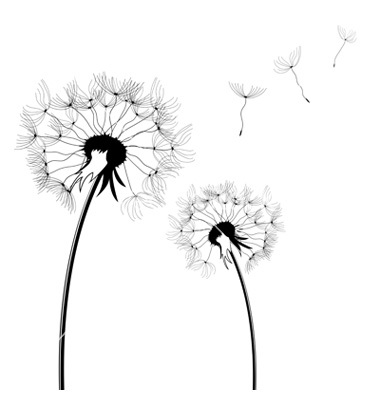 12 Dandelion Black And White Vector Art Images - Dandelion ...