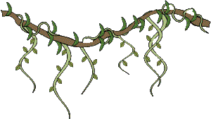 Jungle vines clip art