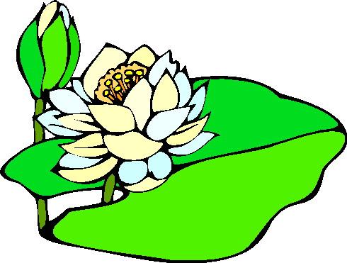 53+ Water Lily Clipart