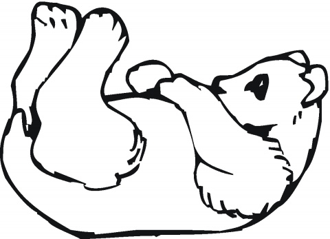 panda bear clip art and coloring pages - photo #43
