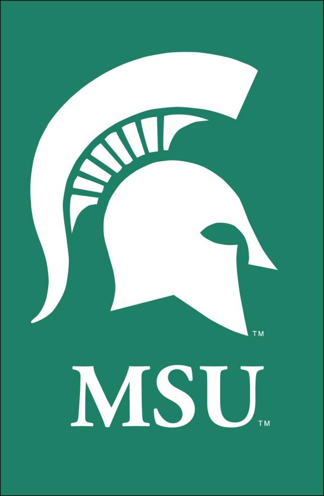 Michigan State University License Plate | Logo Products 4 Less