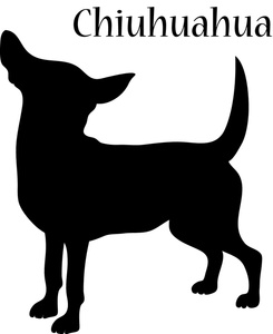silhouette_of_a_chihuahua_dog_ ...