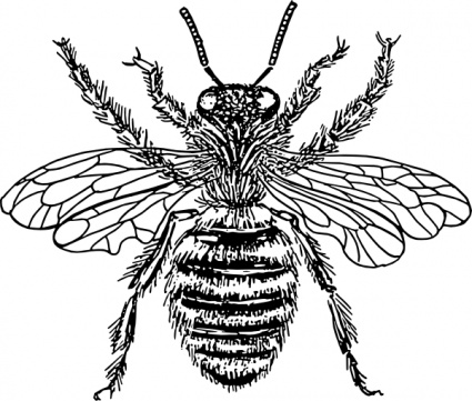 Bee Queen clip art - Download free Other vectors