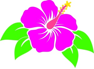 Hibiscus Flower Clipart Image - Outlined Hibiscus Flower Bloom