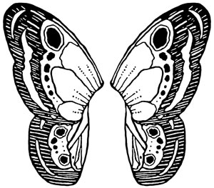 Fairy Butterfly Wings