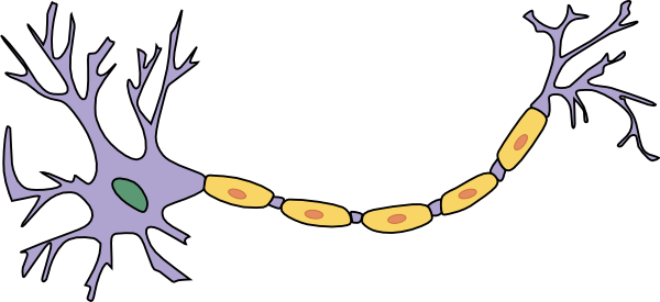 Neuron With Axon clip art - vector clip art online, royalty free ...